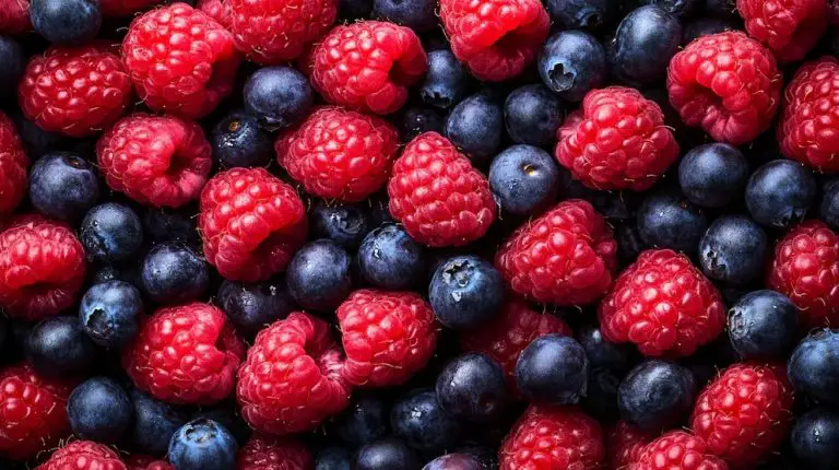 Conozca los alimentos que permiten potenciar la memoria