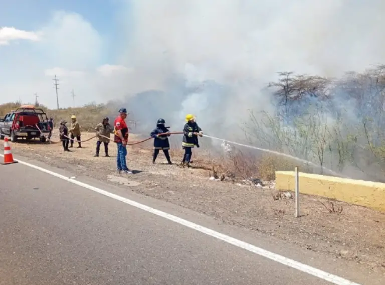 Bomberos de Falcón sofocan incendio de vegetación provocado en la Variante Norte de Coro