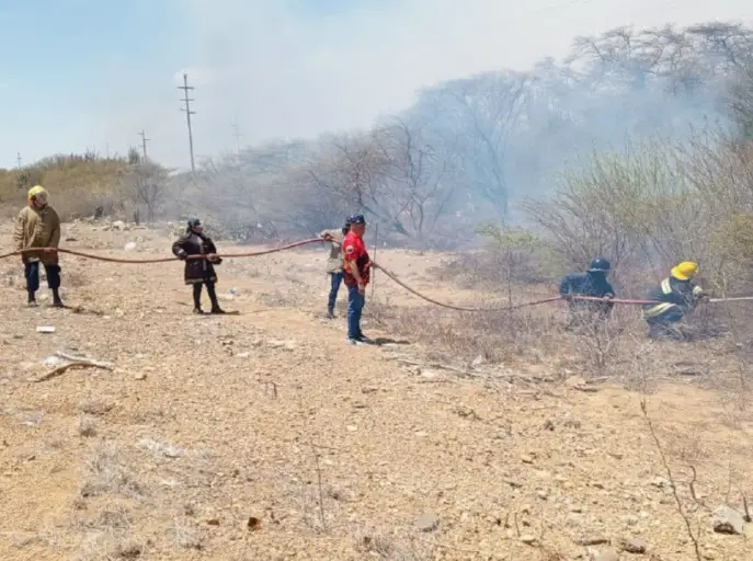 Funcionarios del Cuerpo de Bomberos del estado Falcón lograron controlar y extinguir con éxito un incendio de vegetación.