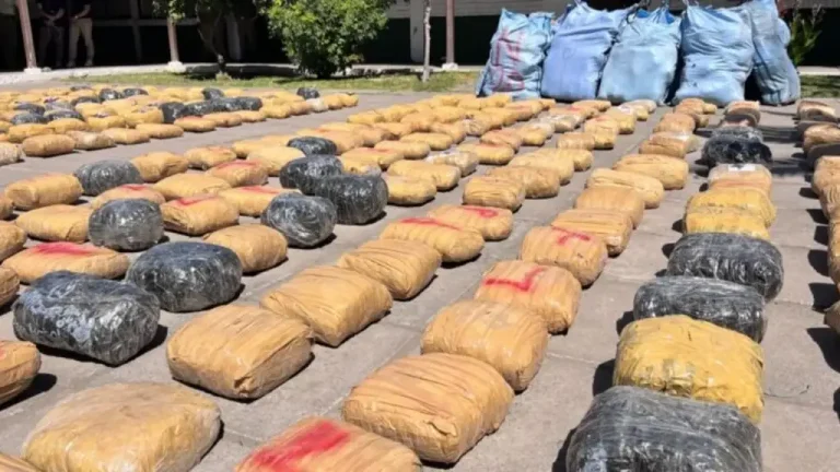 Detenidos venezolanos tras incautación de gran cargamento de droga en Chile