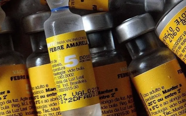 Urgen medidas ante «inicio» de epidemia de fiebre amarilla en Venezuela