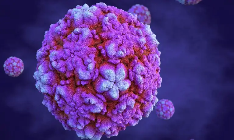 Descubren el virus del resfriado más antiguo hallado en tejidos de hace 250 años