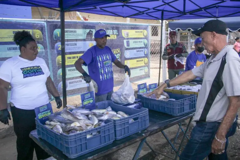 Plan Venezuela Come Pescado impacta en más de 11.000 familias en Falcón