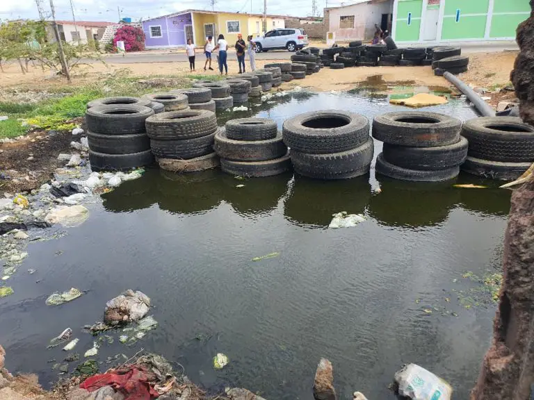 Laguna de aguas negras afecta calidad de vida en sector Bicentenario +FOTOS