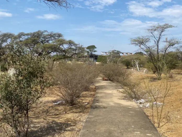 El alcalde del municipio Miranda, Henry Hernández, informó que iniciaron las labores de limpieza en las ocho hectáreas del Bosque de Coro.