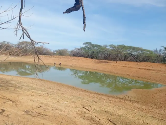 En el territorio del consejo comunal Cubremepa en la comunidad de La Meseta del municipio Miranda impulsan una organización financiera.