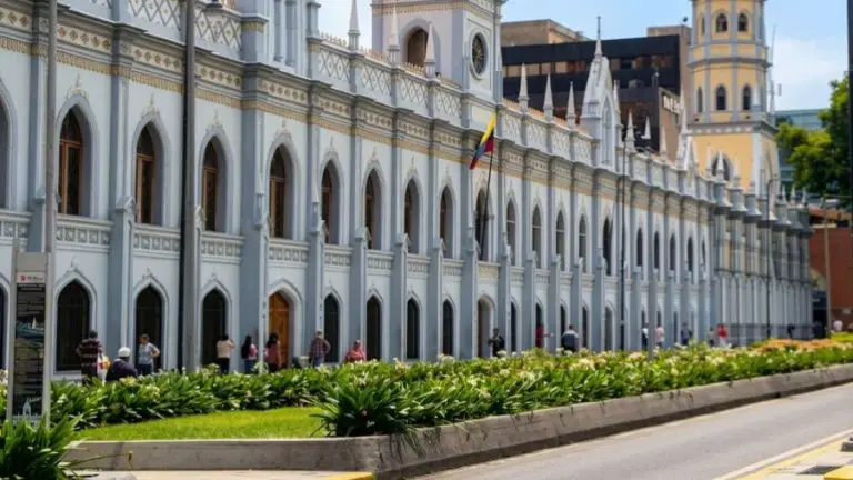 Academia Nacional de Medicina: «No hay alerta sanitaria por hantavirus en Venezuela»