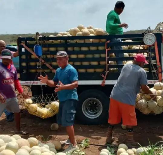La comunidad de La Chapa del municipio Miranda del estado Falcón, instaló formalmente la comuna agroturística de la Sierra Mirandina.