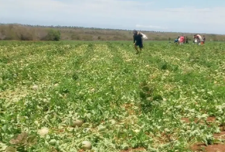 La comunidad de La Chapa del municipio Miranda del estado Falcón, instaló formalmente la comuna agroturística de la Sierra Mirandina.