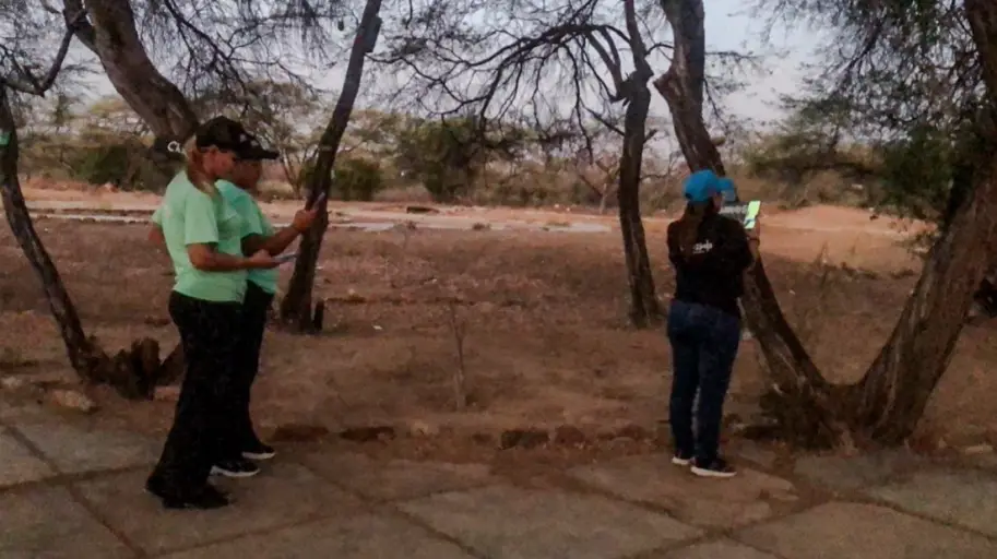 En una jornada de conservación Falcón una vez más se une al Global Big Day, el evento de observación de aves mundial.