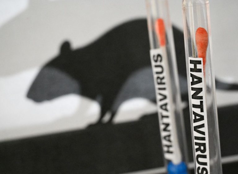 Confirman en Países Bajos infección por hantavirus, viajaron en el crucero