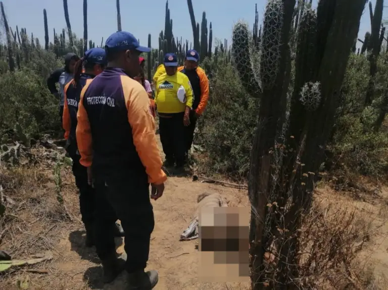 Localizan sin vida a septuagenario desaparecido en Buchivacoa