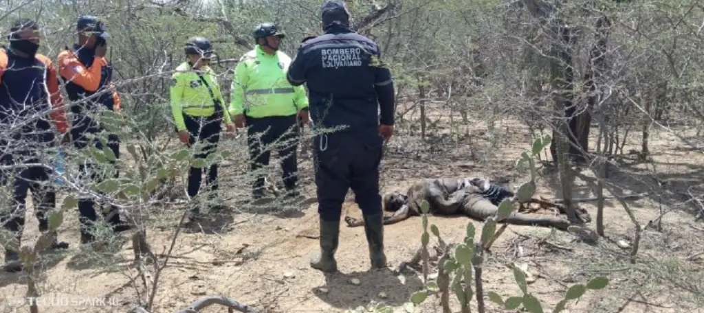 Tras intensas jornadas de búsqueda, la mañana de este miércoles fue hallado el cuerpo sin vida de Hermes Ramón Rivero, de 80 años de edad.