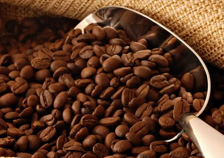 Producción de café venezolano alcanza hasta para exportar