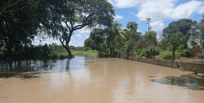 Desbordamiento del río Guanare afectó 16. 000 hectáreas