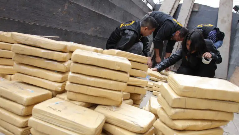 Producción de cocaína alcanza máximo histórico y la ONU advierte del aumento del consumo