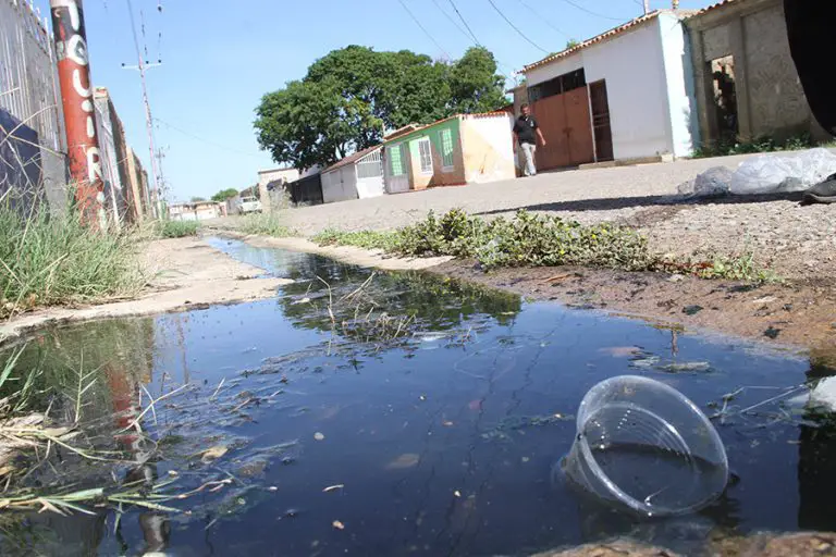 Aguas negras de la Campo Elías pican y se extienden