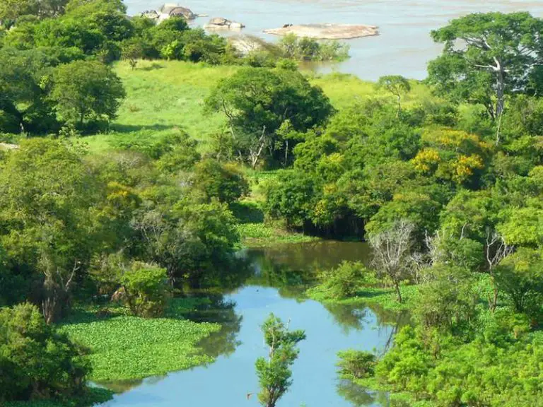 Por esta razón Fundaredes afirma que al Arco Minero del Orinoco está destruido