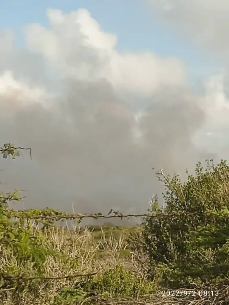 50 hectáreas comprometidas tras incendio forestal en reserva de Montecano