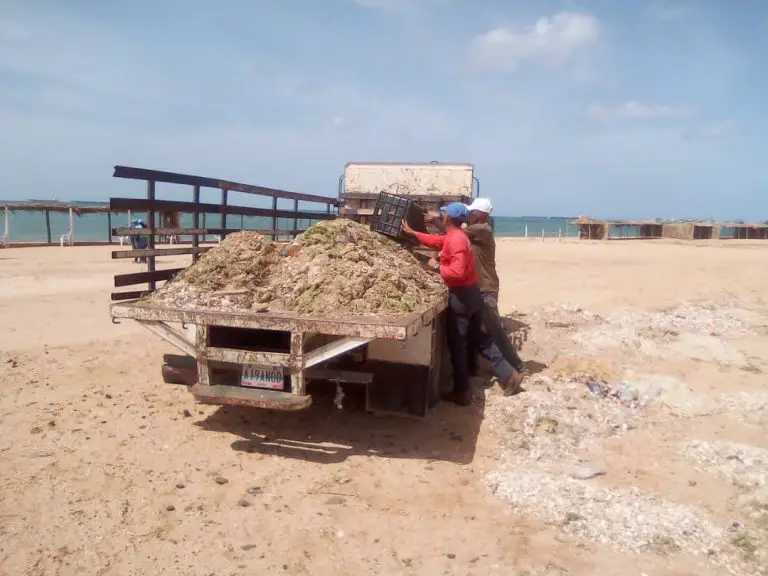 Así lucen las playas de Los Taques tras saneamiento