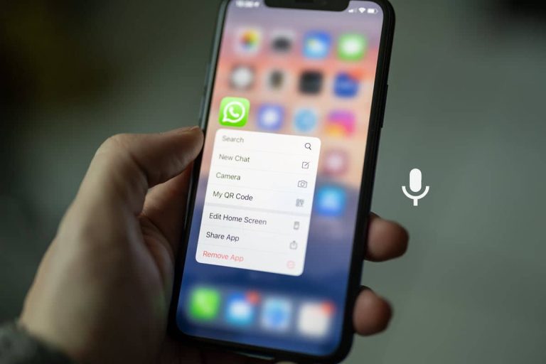 WhatsApp permitirá notas de voz en sus estados