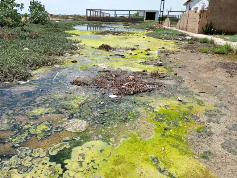 En Bicentenario viven entre aguas servidas