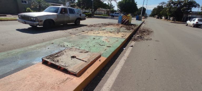 Conductor de camioneta destroza jardineros en avenida de Coro