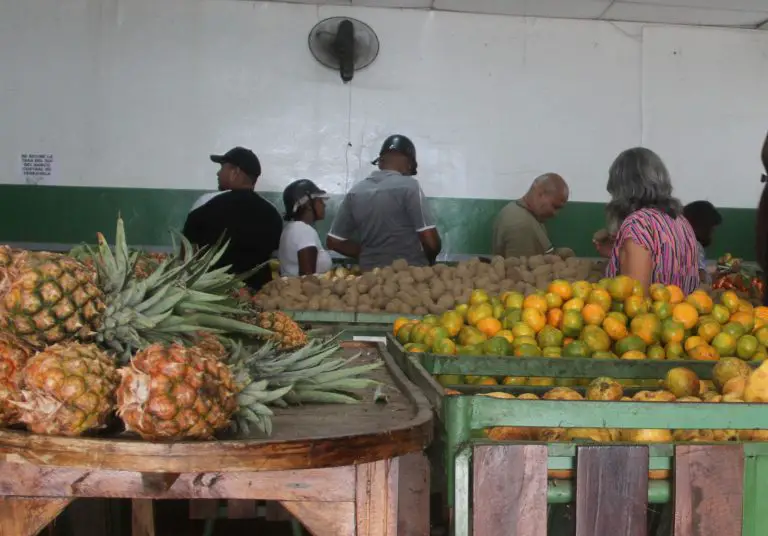 Lluvias retrasan la llegada de frutas, hortalizas y verduras a Coro